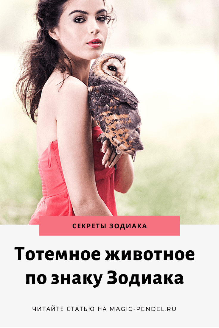 Ваше тотемное животное по дате рождения #знакизодиака #гороскоп